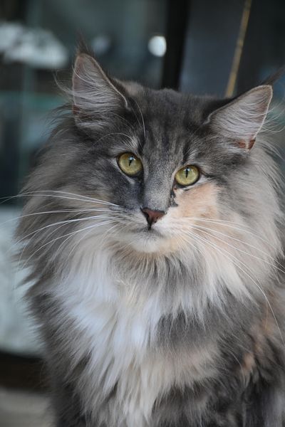 461852746_3565531456926021_4057172194029351761_n