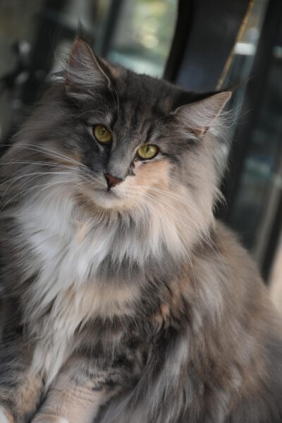 461955251_3565531420259358_352835030623868340_n