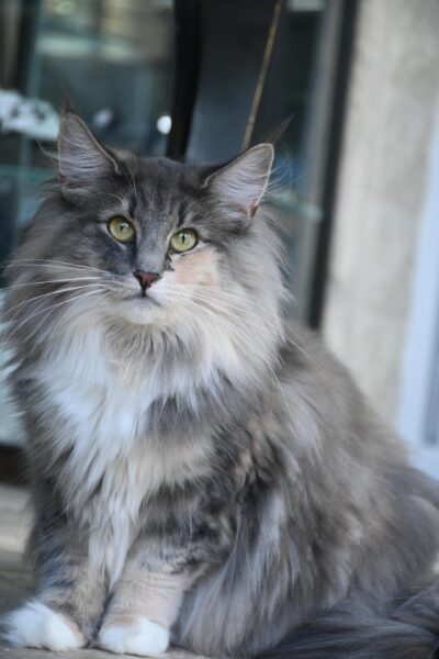 461985011_3565530950259405_3646050503731547236_n