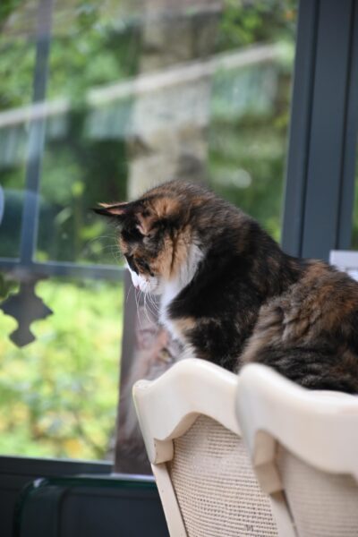 494346107_3821016614710836_6863982403977365761_n