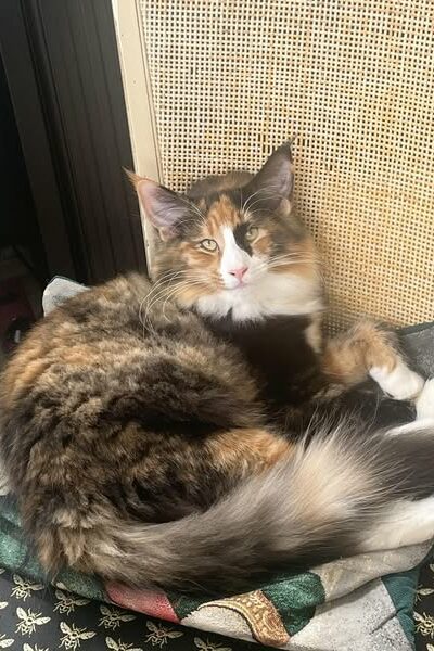 495732486_3830175100461654_3347882009109129777_n